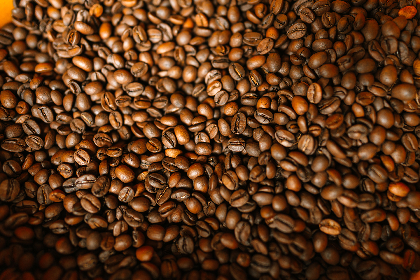 Sierra café de altura